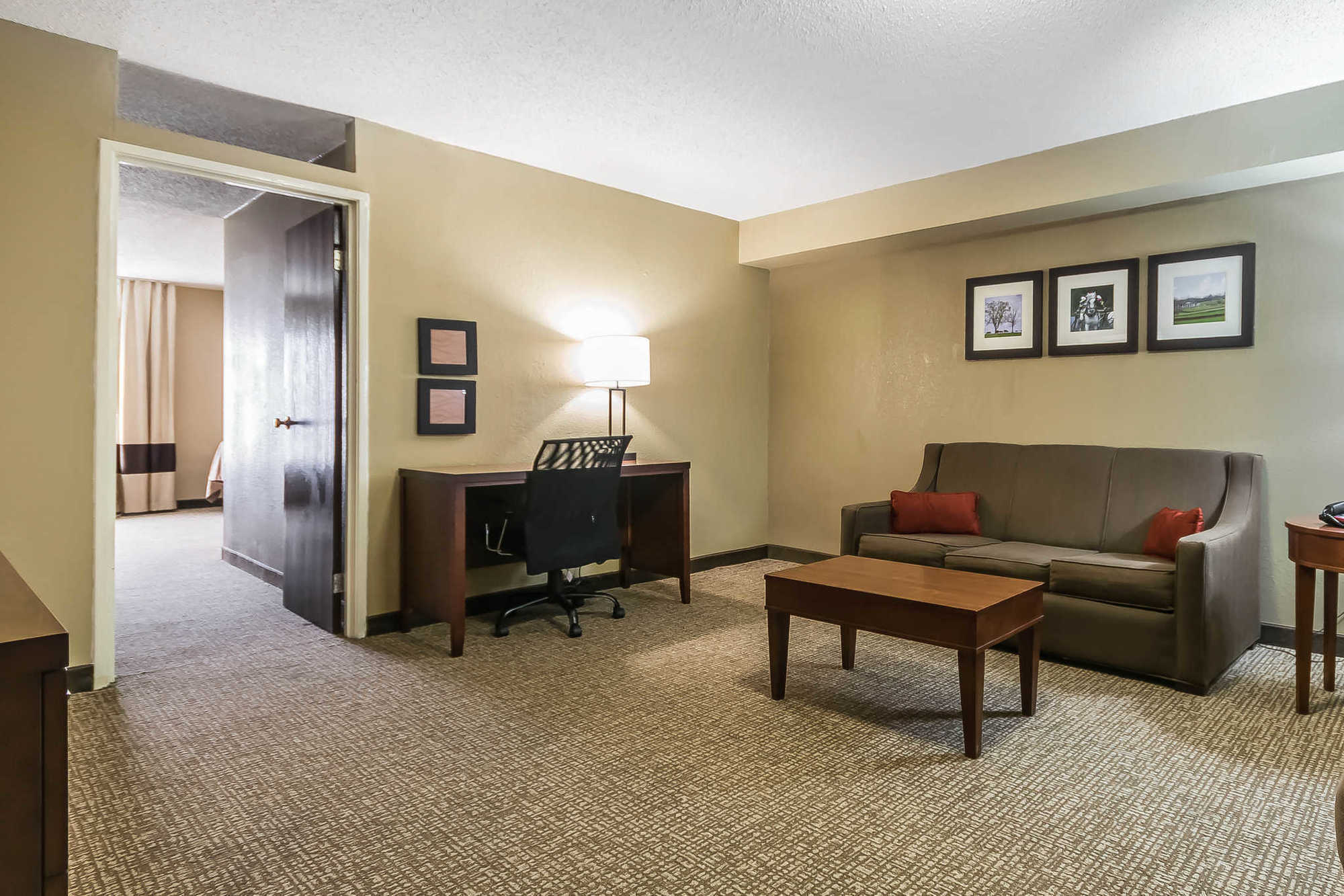 Comfort Inn & Suites Lexington Room photo